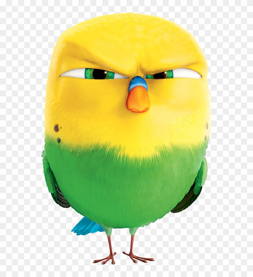 Los Dejaremos Con Una Divertida Galería De Los Personajes - Secret Life Of Pets Sweetpea Clipart