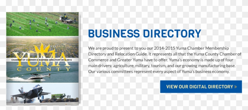 Directory - Artificial Turf Clipart