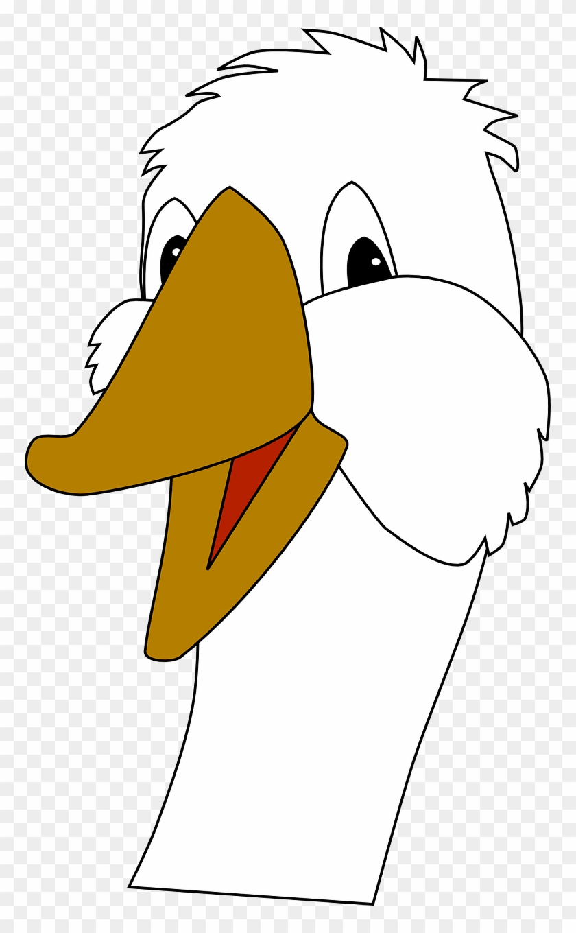 Goose Bird Funny Happy Head Png Image - Goose Face Clipart Transparent Png #3352296