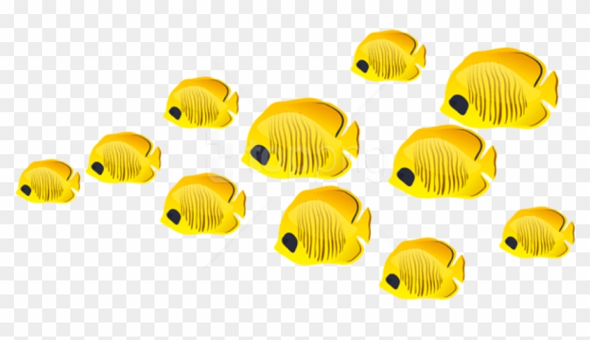 Free Png Fishes Png Images Transparent - Coral Reef Fish Clipart