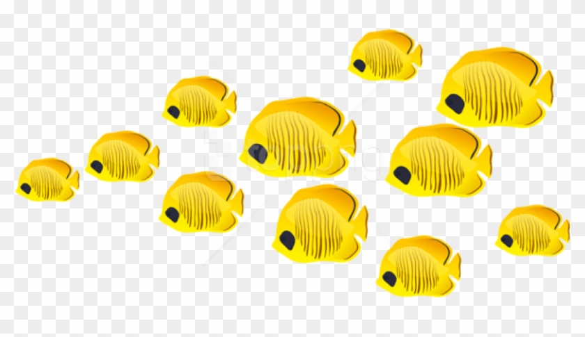 Free Png Fishes Png Images Transparent - Coral Reef Fish Clipart #3352475