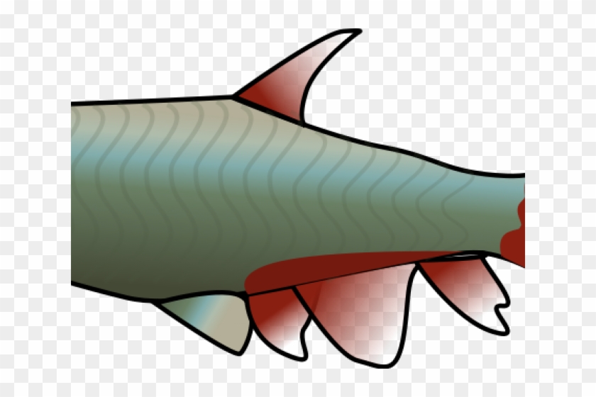 Clipart Wallpaper Blink - Tetra Fish Clipart - Png Download