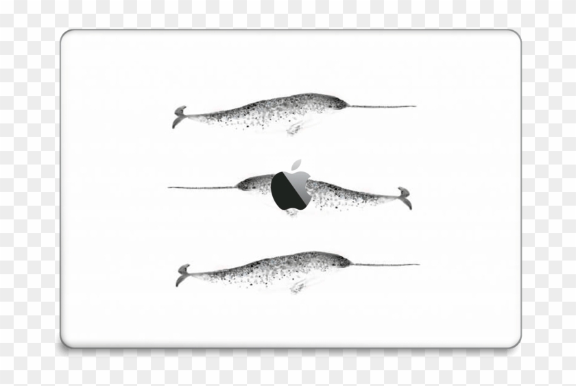 Narwhale Skin Macbook Pro 15” 2016- - Long Nose Gar Clipart #3353297