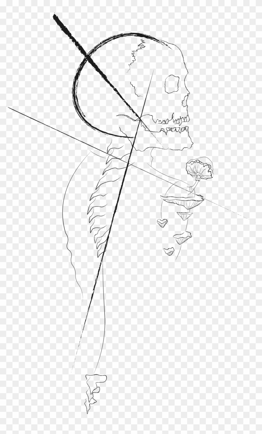 Collection Of Free Joint Drawing Mushroom Download - Drawing Clipart