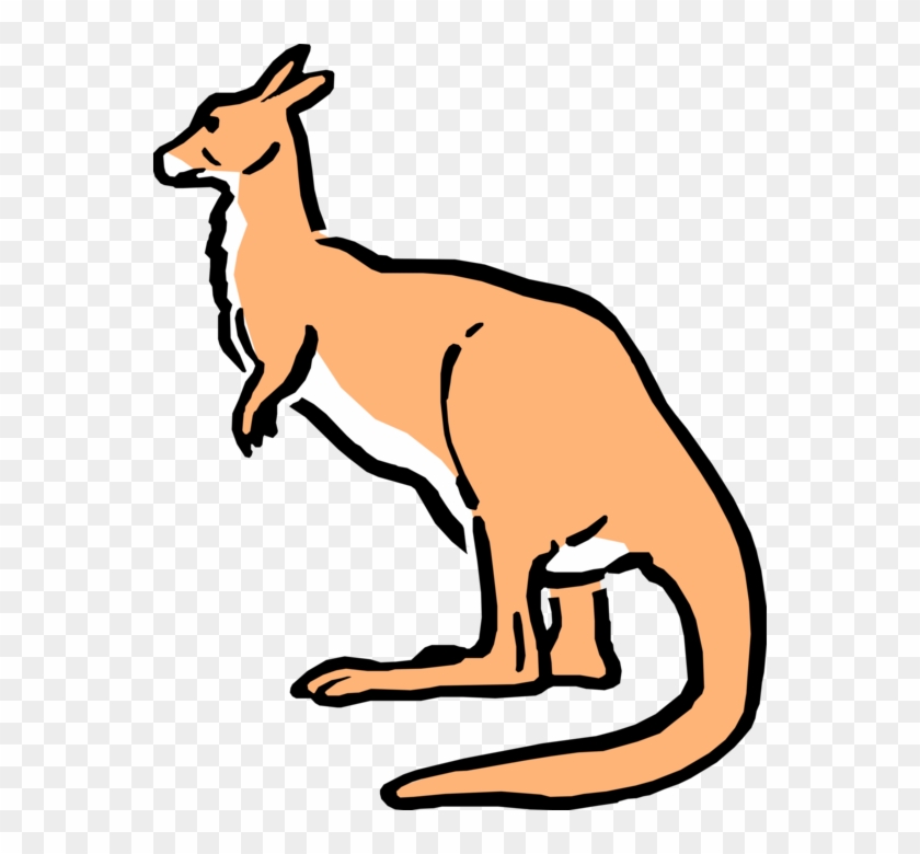 More In Same Style Group - Cartoon Kangaroo Clipart #3354978