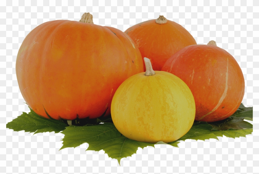 Pictures, Free - Pumpkin Clipart