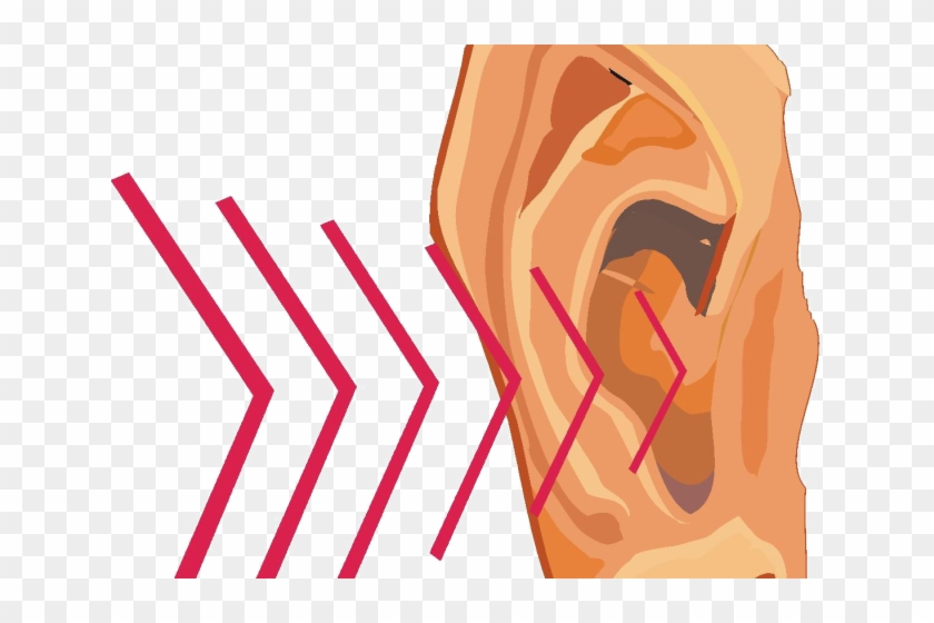 Sound Wave Clipart Sound Energy - Sound Vibrations - Png Download