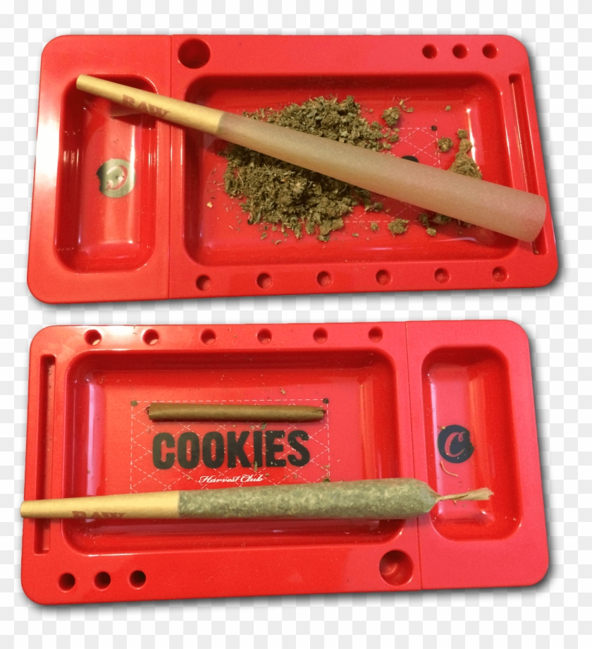 Rawket Clipart #3358301