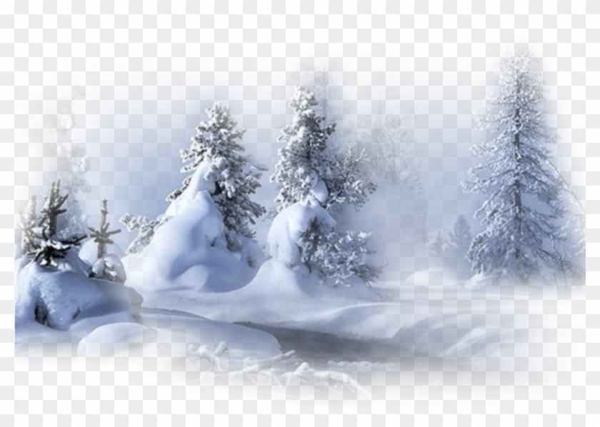 #ftestickers #winter #snow #forest #trees - Téli Táj Png Clipart
