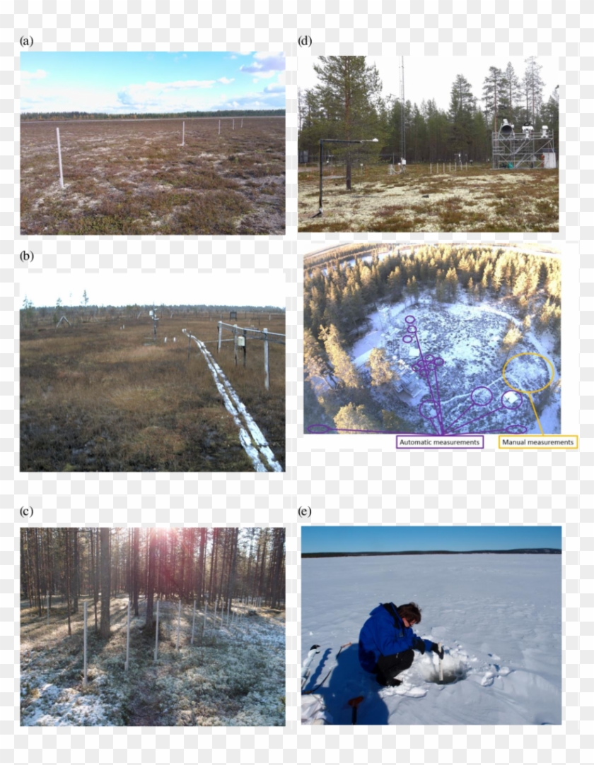 Snow Measurement Sites - Snow Clipart #3360319