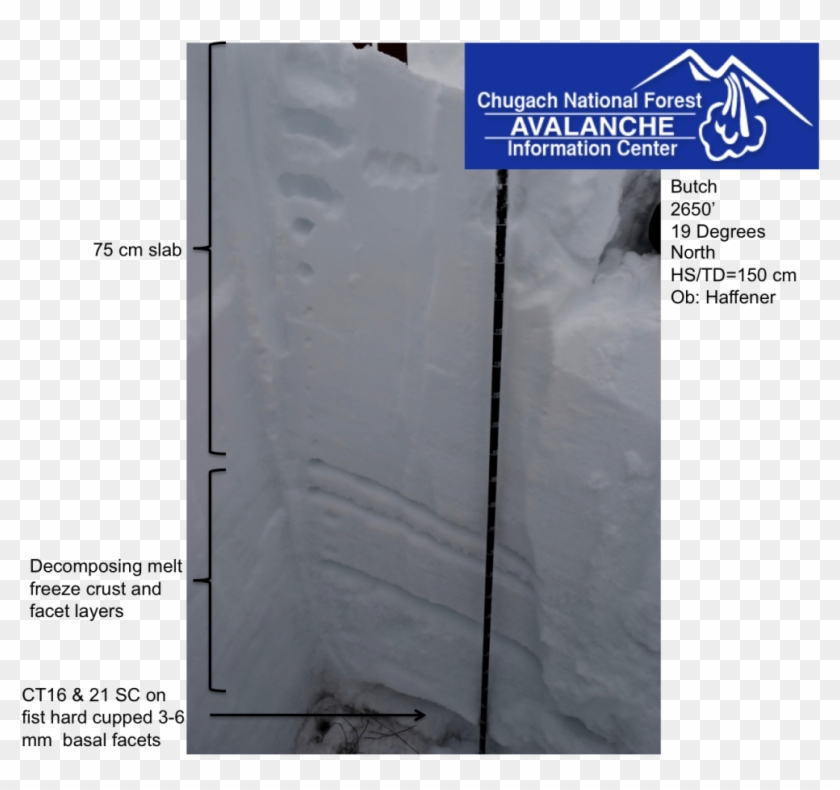 A Recent Natural On A Ne Aspect Of Frenchy Mountain, - Tile Clipart