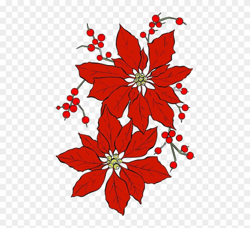 Poinsettia,christmas,red Flower,seasonal,isolated - Poinsettia Christmas Flowers Clipart