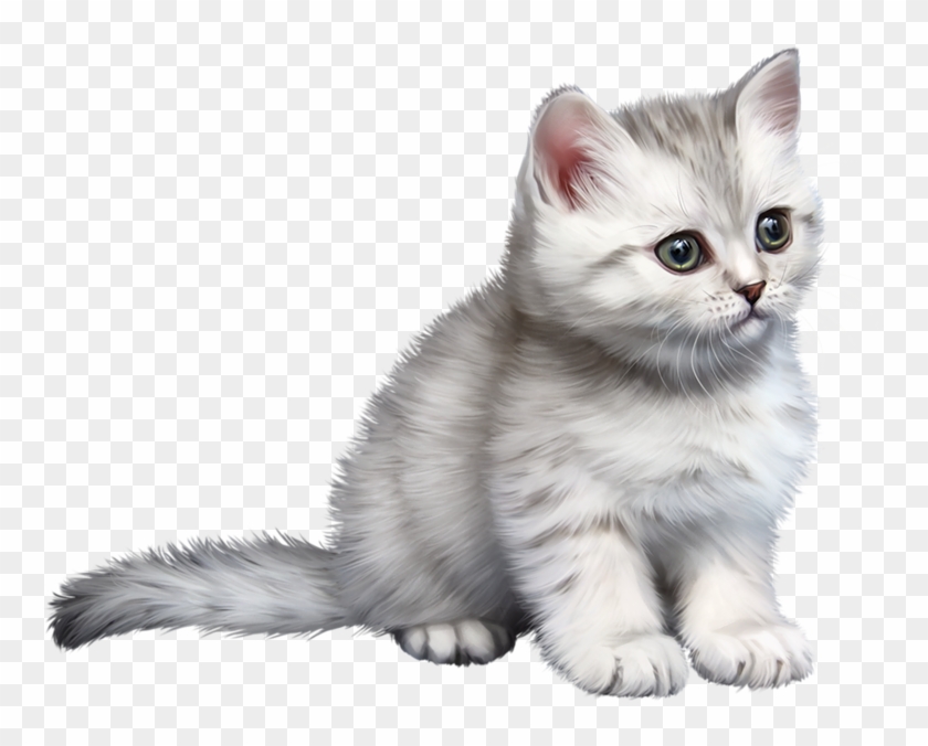 Lion Clip Ragdoll - Tube Chat - Png Download