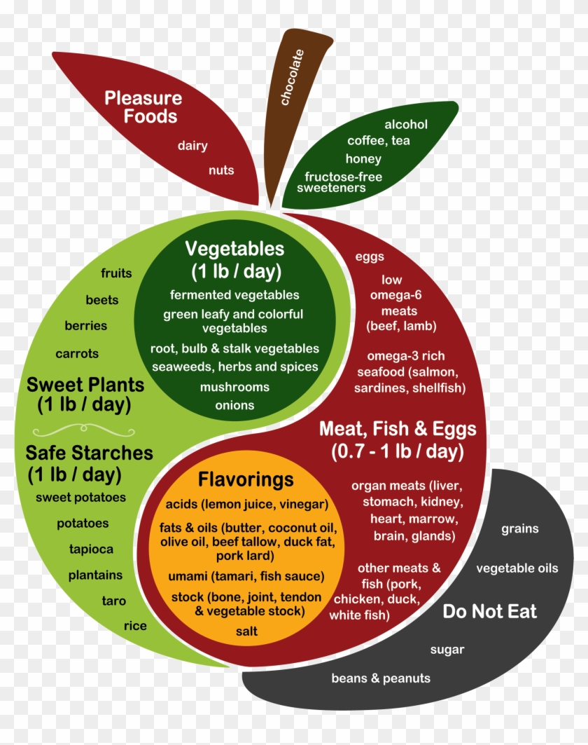 Kind Readers Have Translated The Perfect Health Diet - Perfect Health Diet Clipart #3362276