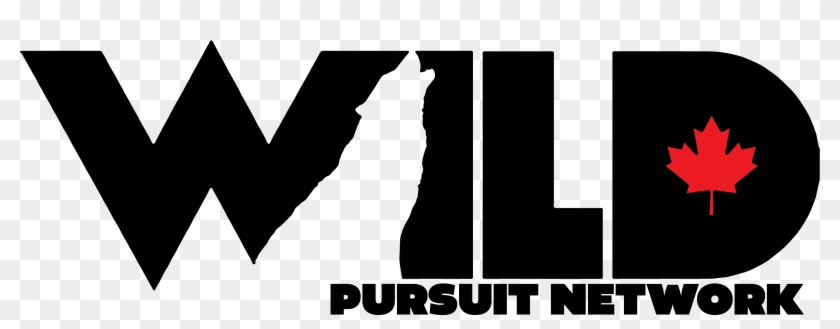 Wild Tv Clipart #3362605