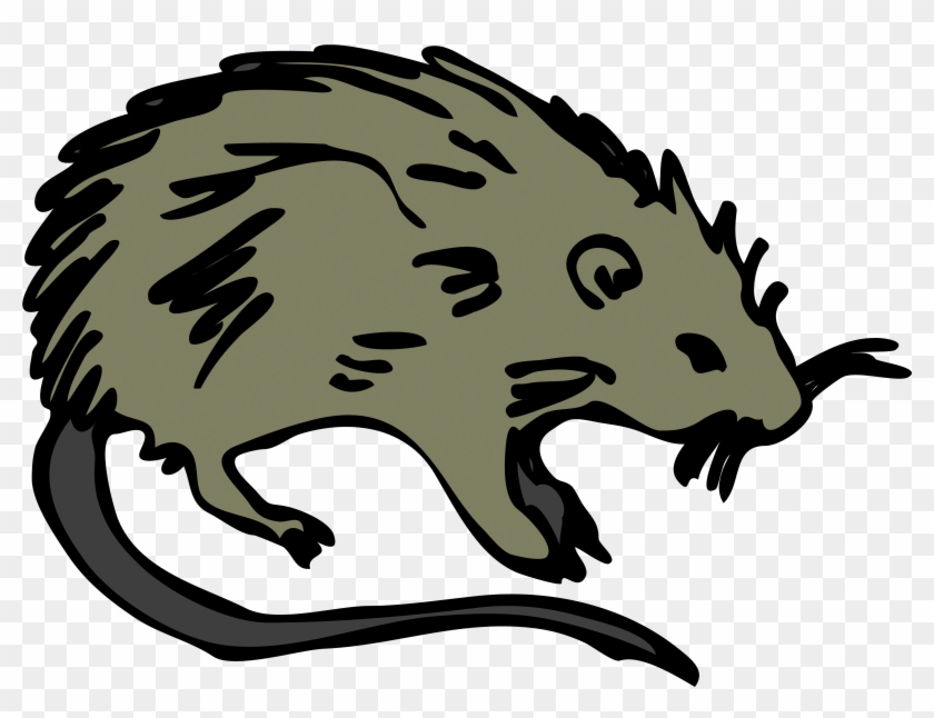 Cartoon Picture Of A Rat - Rodents Clipart - Png Download #3362878
