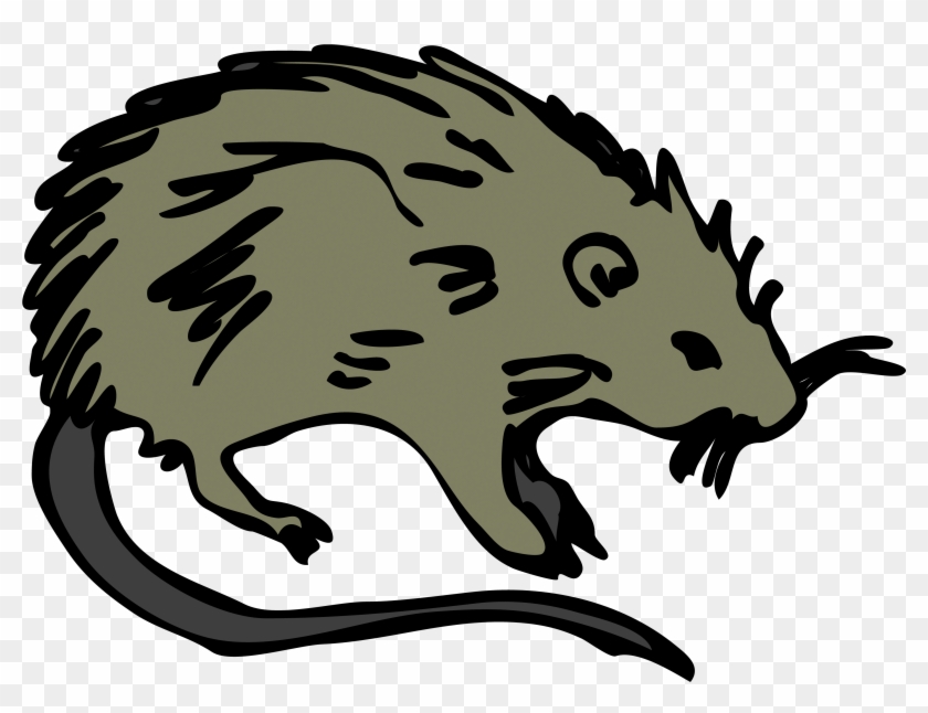 Cartoon Picture Of A Rat - Rodents Clipart - Png Download