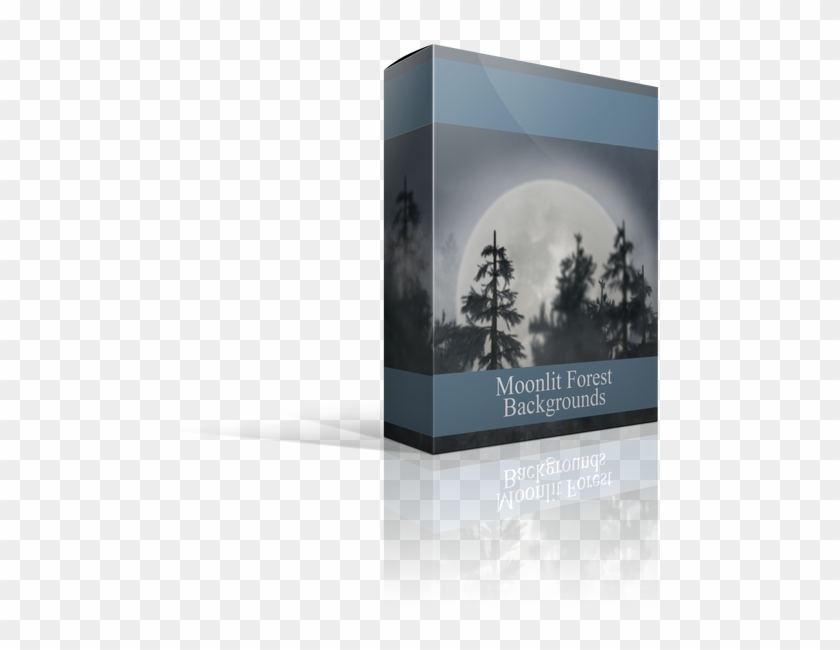 The Moonlit Forest Digital Backgrounds For Photographers - Christmas Tree Clipart