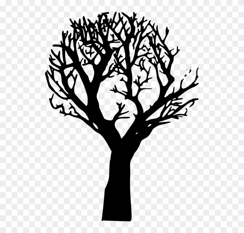 Forest, Decline, Forest Dieback, Tree, Winter - Dead Tree Vector Png Clipart