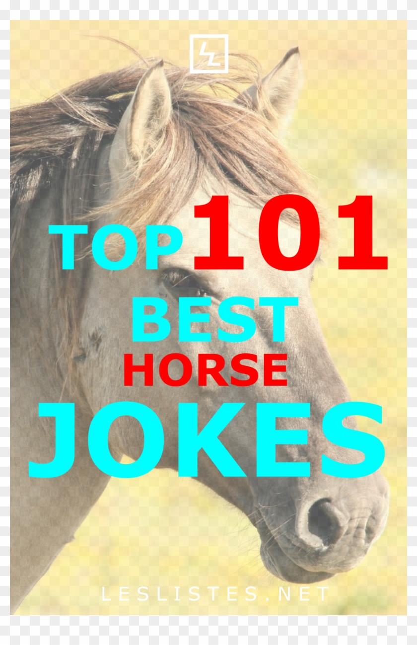 Do You Love Horses Do You Love Jokes Then Check Out - Mane Clipart #3365144