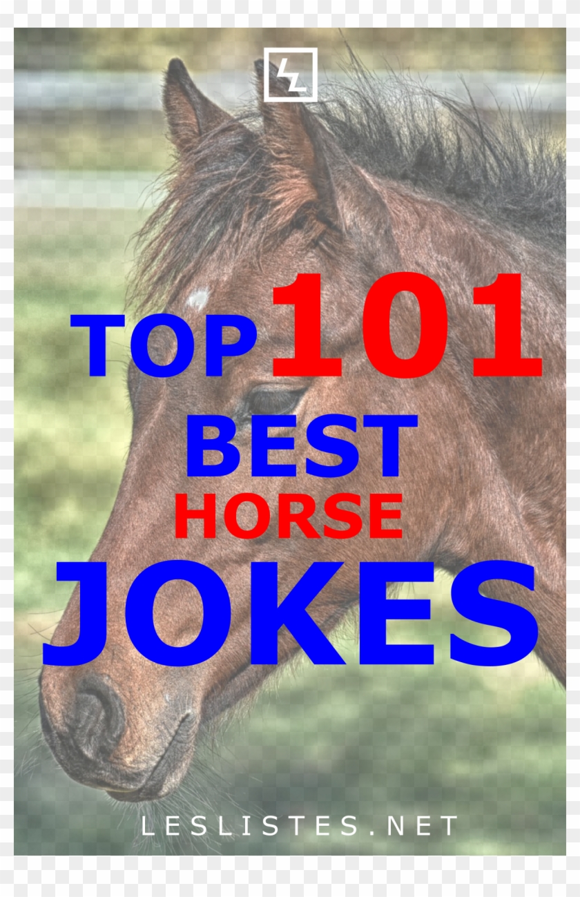 Do You Love Horses Do You Love Jokes Then Check Out - Mane Clipart #3365284