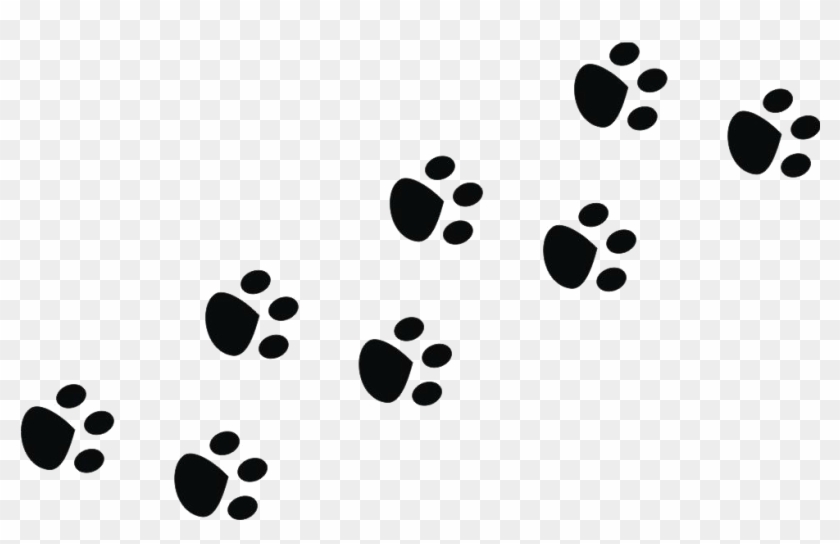 Bigode De Coelho Png Clipart