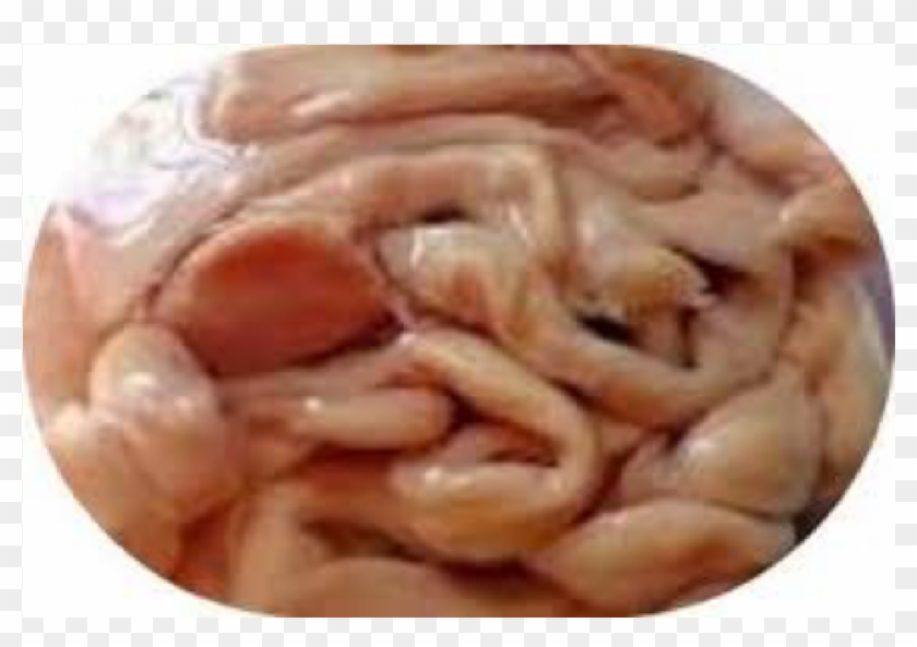 Mutton Bhutuwa Mutton Bhutuwa - Goat Intestine Clipart #3365440