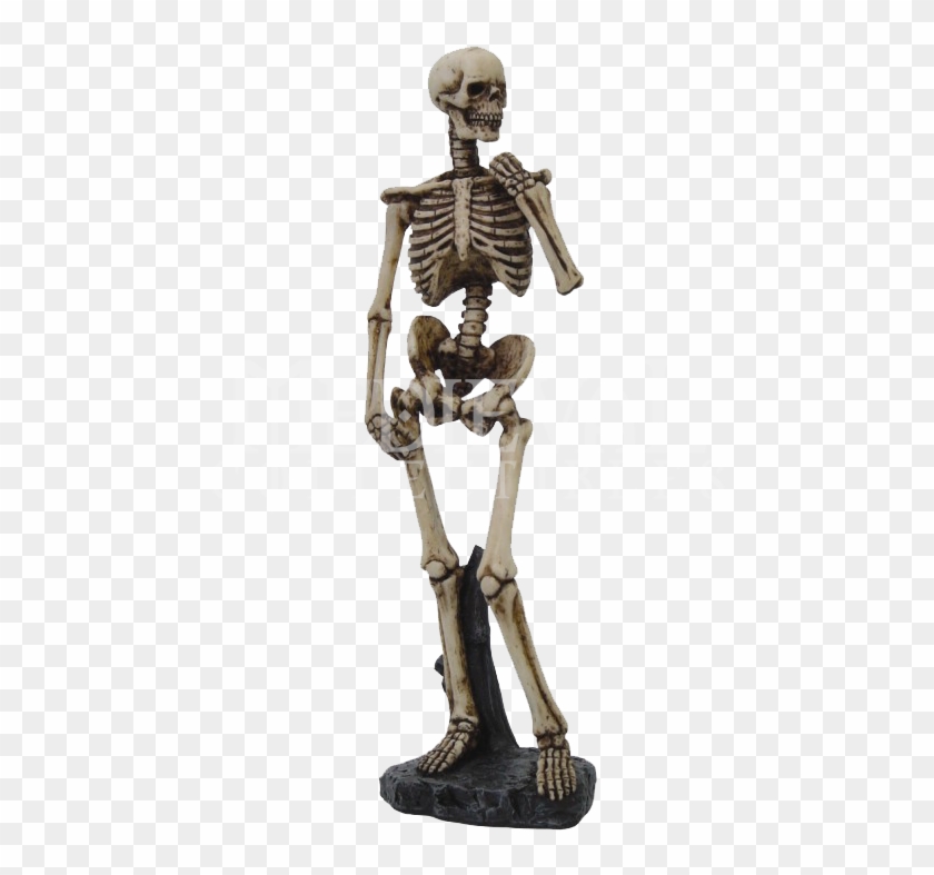Michelangelo David Skeleton , Png Download - Skeleton Nude Clipart #3366614
