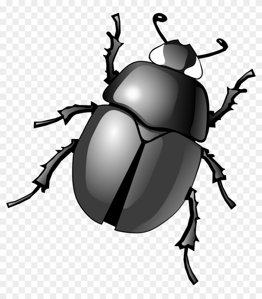 Dung Beetle Clip Art - Beetle Bug Clipart - Png Download
