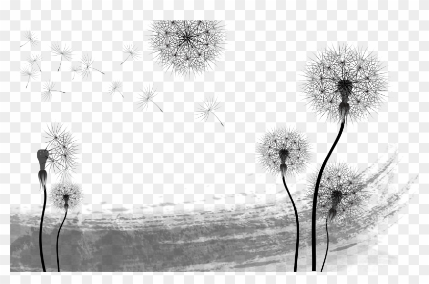 Dandelion Transparent Pen And Ink Clipart #3368406
