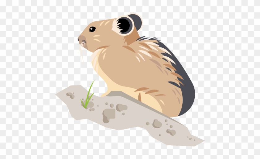 Yellowstone Pika Project - Hamster Clipart #3369500