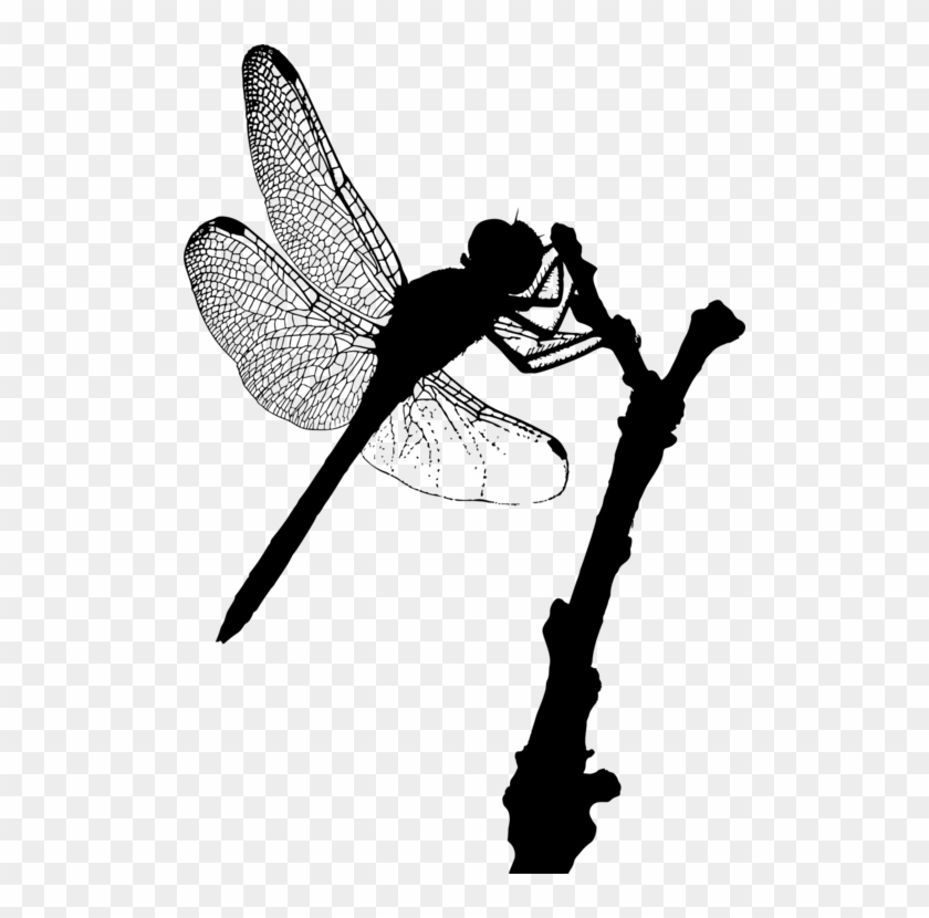 Insect Silhouette Shoe Line Dragonfly - Fairy Clipart