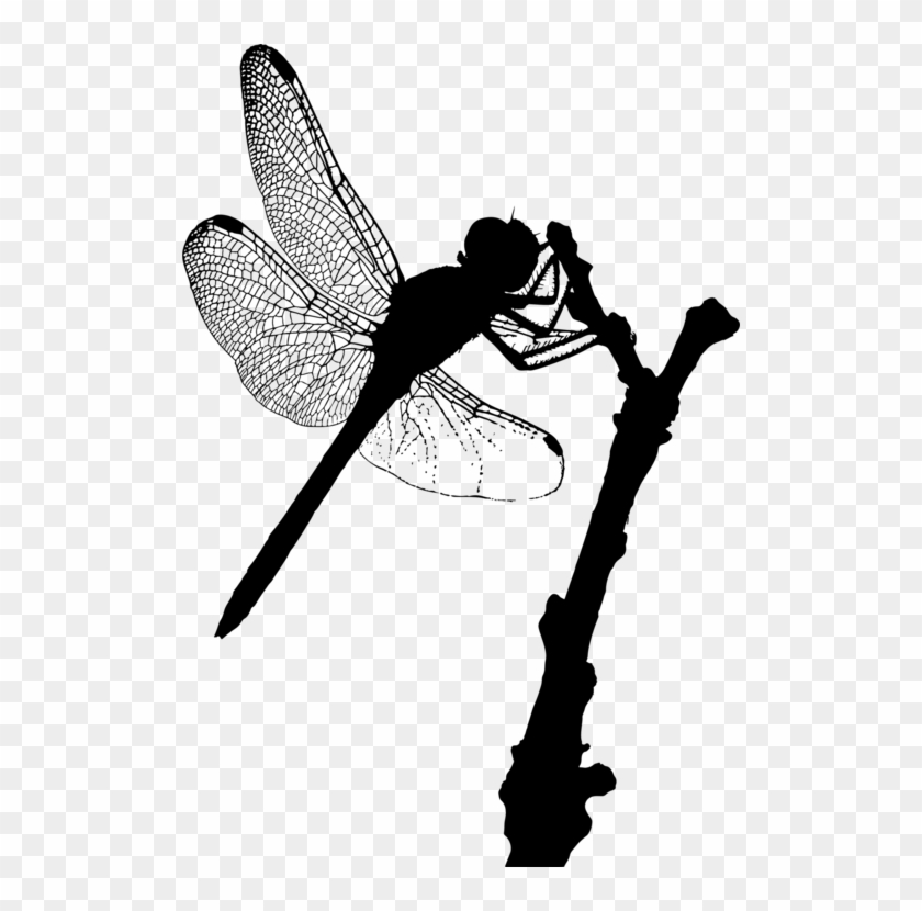 Insect Silhouette Shoe Line Dragonfly - Fairy Clipart #3371479