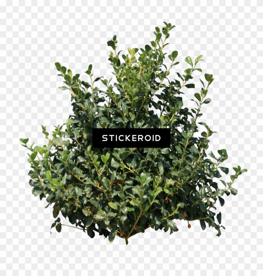 Lebron James Red - Transparent Bush Png Clipart #3371788