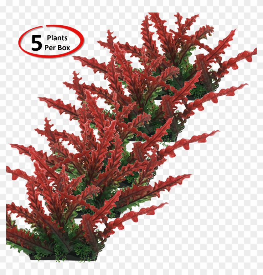 View Larger - Houseplant Clipart