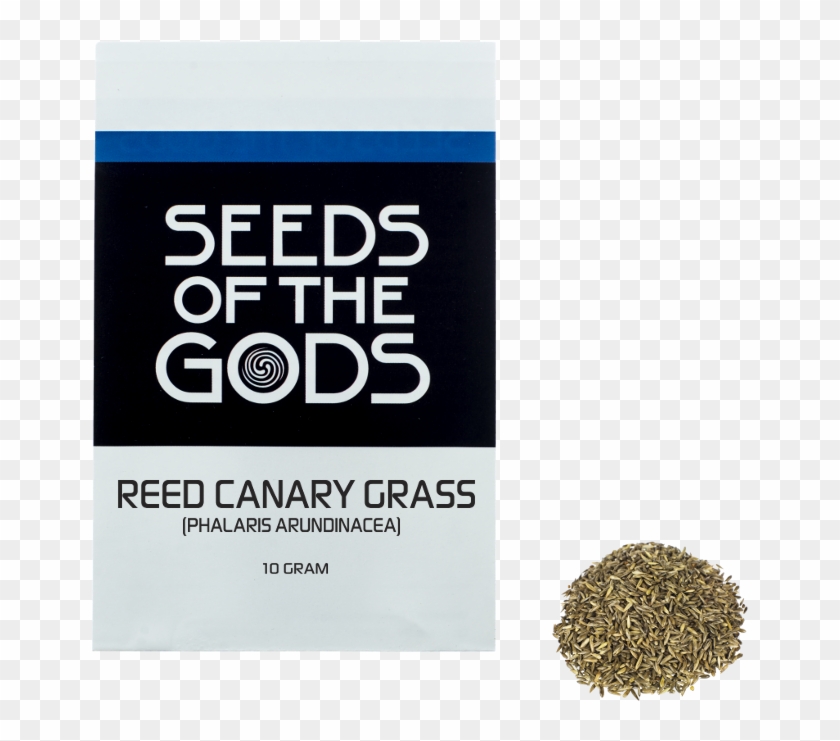 Reed Canary Grass - Psychotria Viridis Clipart #3372424