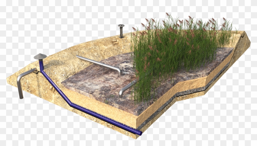 For More Information On Sewage Sludge Treatment Click - Freshwater Marsh Clipart #3372449