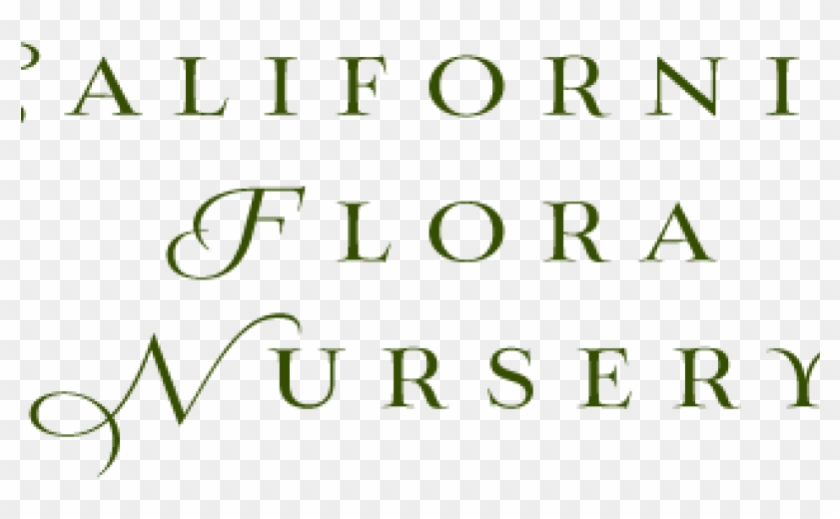 California Flora Nursery, Fulton, Ca - Boys State Clipart