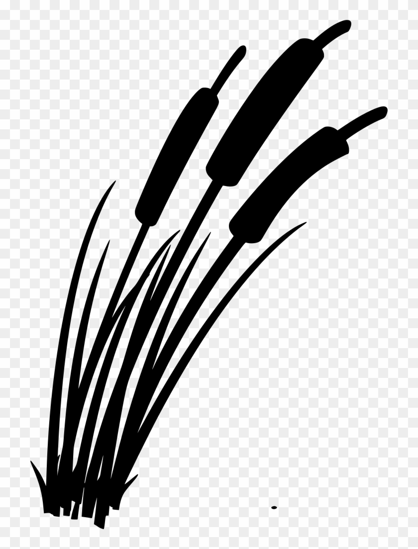 Download Png - Plantas De Lago Clipart #3372508