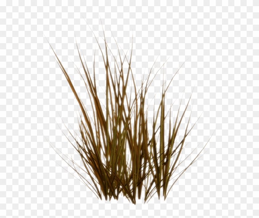 Img1 Img2 Logo - Grass Clipart #3372614
