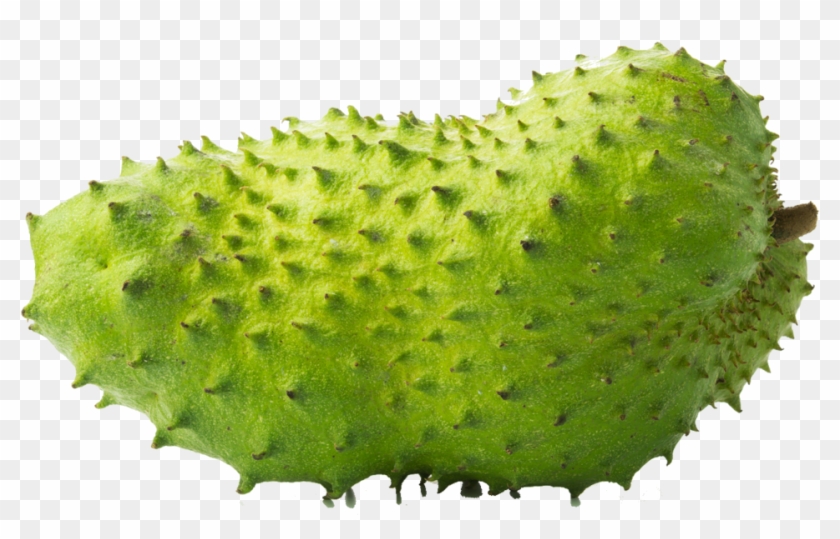 Soursop Png Clipart #3375331