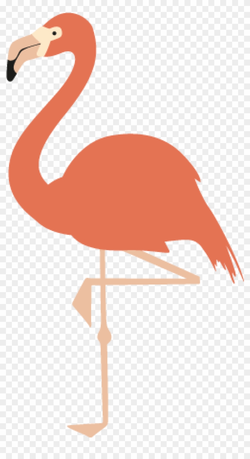 American Printing Printmaking - Greater Flamingo Clipart
