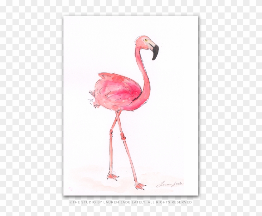 Flamingo Watercolor Illustration The Studio By Lauren - Greater Flamingo Clipart #3376535