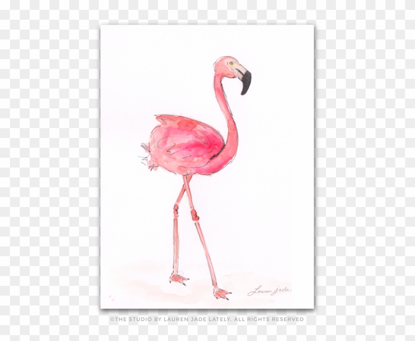 Flamingo Watercolor Illustration The Studio By Lauren - Greater Flamingo Clipart