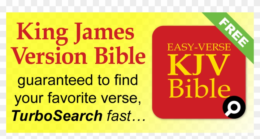 Orange Clipart #3376570