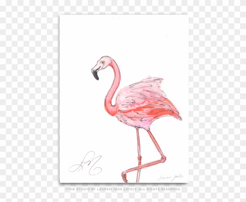 Flamingo No - Three - Greater Flamingo Clipart