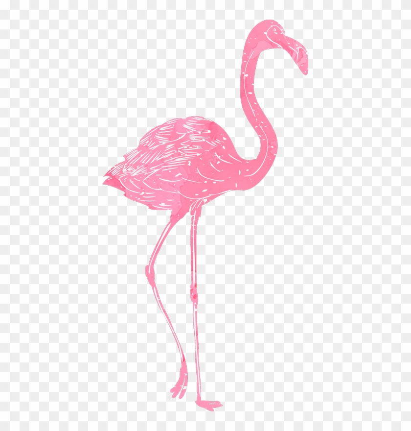 Watercolour Flamingo Wall Sticker - Vinilos De Flamencos Png Clipart #3376791