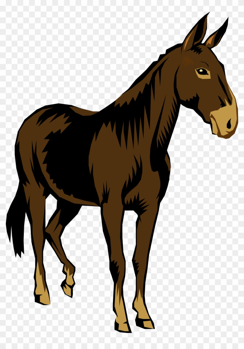 Stubborn Mule Clipart Cliparthut Free Clipart Owjvwj - Mule Clipart - Png Download #3377284