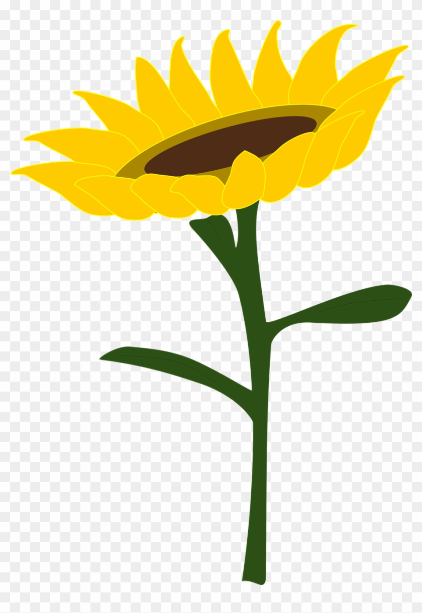 Sunflower Honey Sunflower Field - Bunga Matahari Kartun Png Clipart