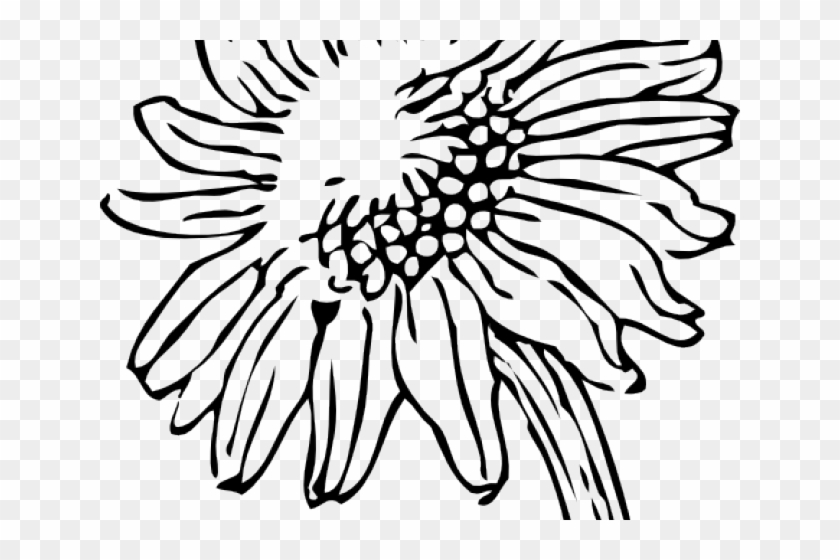 Drawn Sunflower Silhouette - Black And White Sunflower Png Clipart #3377610